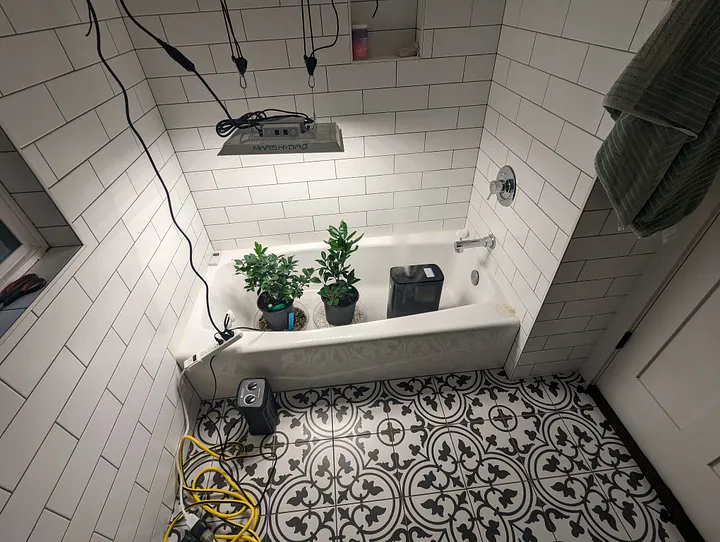 The bathtub, with a better light